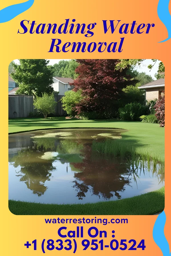 Standing Water Removal in Berkshire Lakes, FL